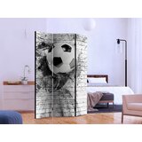 Artgeist PARAVAN 135/172/3 cm črna, bela | Shoptok.si