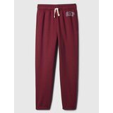 GAP Kids Sweatpants with Logo - Boys | Eponuda.ba