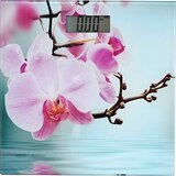 Tendance telesna vaga 30X30X1,8CM staklena stella