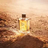 terre d´Hermès eau intense Vétiver parfemska voda 200 ml za muškarce