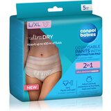 Canpol Pants With Postpartum Pad poporodne spodnjice za enkratno uporabo 2v1 L/XL 5 kos | Shoptok.si