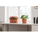 Artevasi Korito za rože 42 cm Siza – | Shoptok.si