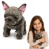 Plišana igračka Bulldog 22 cm - smeđi | Shoptok.si