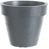 Saksija Tago, 16 lit, tamnosiva