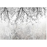  Samoljepljiva foto tapeta - Natural Brightness 245x175 | shoptok.hr