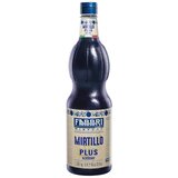 Fabbri sirup Mixybar Borovnica 1000 ml Cijene