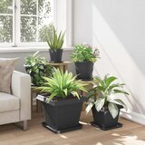  Saksije za biljke 6 pcs Crna 38 x 38 x 30 cm Plastika | shoptok.hr