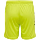 Hummel Set majica i šorts za golmane Core Gk, Zeleni | Eponuda.com