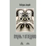 Nebojša Jevrić - Pucanj u ogledalo