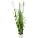 Ambia Home OKRASNA TRAVA | Shoptok.si