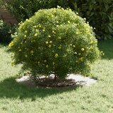  Pogodno za ravne drvene prstenove 5 pcs Bijelo Ø30 / 60 cm Čelik | shoptok.hr