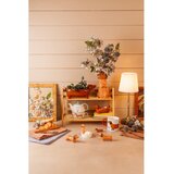 Sass & Belle Keramička ukrasna tegla za cvijeće Sausage Dog – | shoptok.hr