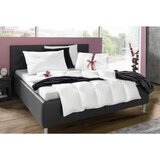 Billerbeck celoletna prešita odeja nena nena 200/200 cm | Shoptok.si