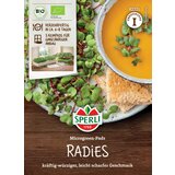 BIO blazinica mikrozelenja - redkvice - 1 pkt. u