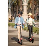 Segway KickScooter D38E | Eponuda.ba