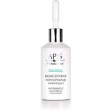 Apis Natural Cosmetics apis - hydro balance - hidratantna koncentrovana formula Cene