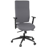 MID.YOU Pisarniški Stol Pro-tec 300, Antracit Cene