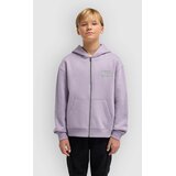 Billabong Foundation Kids Zip Hoodie purple ash Cene