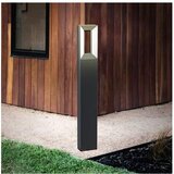 Eglo Riforano LED zunanja svetilka za pot (10 W, Do x Š x V: 6 x 11 x 77 cm, Črna, IP44) | Shoptok.si