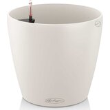 LECHUZA Okrasni lonec Classico Color 28 - Bela | Shoptok.si