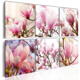  Slika - Southern magnolias 60x40 Cijene