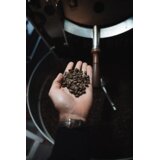 Goat Story WONDERLAND kava, Integralno zrno (bez mljevenja), 500g | shoptok.hr