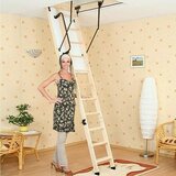 MEISTERHOLZ Tavanske stepenice Thermo Extra (120 x 60 cm, Toplinska izolacija: 0,85 W/m²k) | shoptok.hr
