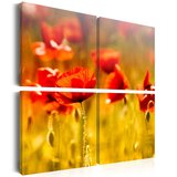  Slika - Summertime 40x40 Cijene