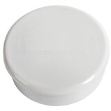 Dahle Magnet, fi-24 mm, 6 kosov, bela Cene