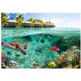  Tapeta - Under the surface of water 350x245 | shoptok.hr