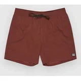 All Day Lb Boardshorts wine