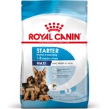 Royal Canin Maxi Starter Mother & Babydog - Varčno pakiranje: 2 x 15 kg | shoptok.hr