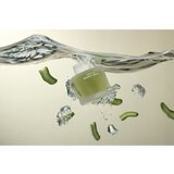 Whamisa Cactus Bouncy Serum intenzivni hidratantni serum za učvršćivanje kože lica 52 ml | shoptok.hr