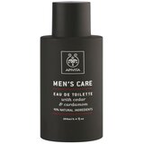 Apivita Men's Care Eau de Toilette toaletna voda za moške 100 ml | Shoptok.si
