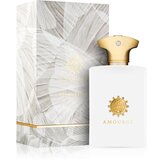 Amouage Honour Man parfumska voda 100 ml za moške | Shoptok.si