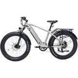BODYWEL Potovalno električno kolo D6, debele pnevmatike, 48V 13,5Ah, sivo, (5000233873) | Shoptok.si