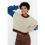 Trendyol Stone Soft Texture Color Block Knitwear Sweater Cene