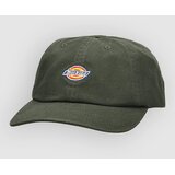 Dickies deep depths Cene