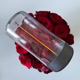 Zuma line 1001 - LED prigušiva punjiva lampa ESTERNO LED/0,5W/230V crna IP54 | Eponuda.com