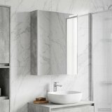  Kopalniška ogledalna omara Betonsko siva 53,5 x 15,5 x 70 cm, (5000233210) | Shoptok.si