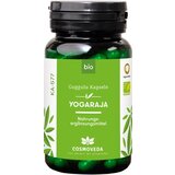 Cosmoveda yogaraja Guggulu kapsule Bio - 80 kaps. Cene
