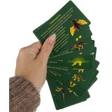 Kruzzel set za iskapanje dinosaura, 12 jaja s figurama | shoptok.hr