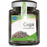 Beyond Čaga gljiva u komadićima 50g u