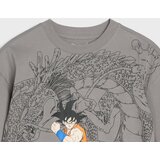 Sinsay Majica kratkih rukava DragonBall | shoptok.hr