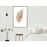  Poster - Lost Feather (Beige) 30x45 | shoptok.hr