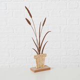 Mömax Skulptura Nolani Ii -Paz- | Shoptok.si
