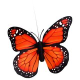 Solarni leteči metulj | Shoptok.si