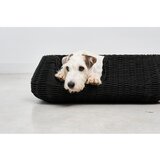 MiaCara antracitno siva podloga za pse 75x85 cm mio anthracite m | Shoptok.si