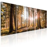  Slika - Beauty of Nature 200x80 | shoptok.hr
