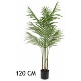 Lilium dekorativna palma areka 120cm 567276 Cene